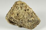 Olive Topazolite Garnet Cluster - Quartzite Mountain, Arizona #188306-1